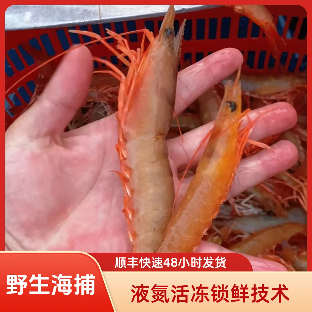 野生麻虾大号沙卢虾【部分带膏】天然新鲜液氮活冻顺丰发货-琪9