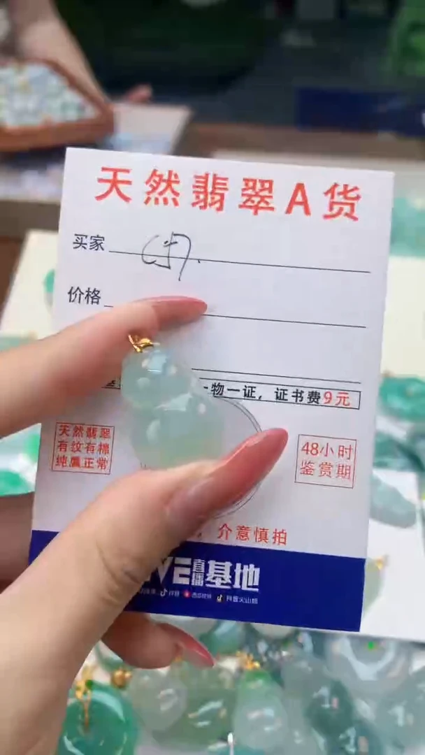 颈饰未镶嵌翡翠天然A货翡翠挂件