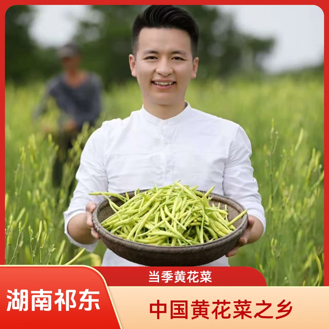 2025当季蔬菜新鲜黄花菜现摘现发湖南祁东特产黄花菜金针菜萱草花