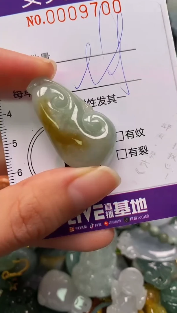 颈饰未镶嵌翡翠闪购0009700