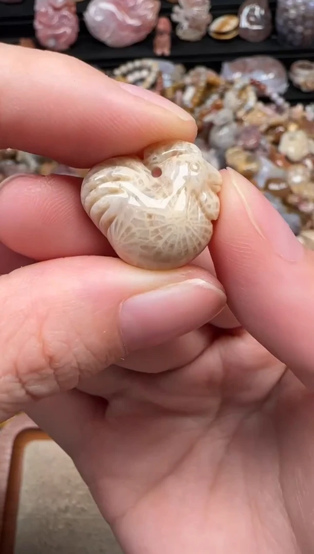 颈饰未镶嵌硅化珊瑚（珊瑚玉）510