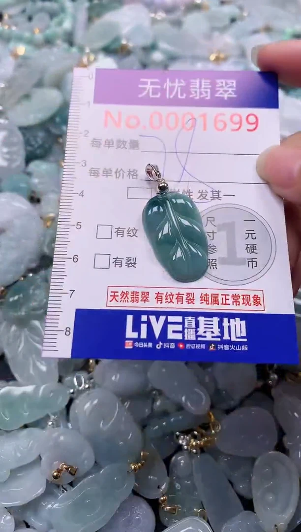 颈饰未镶嵌翡翠1699