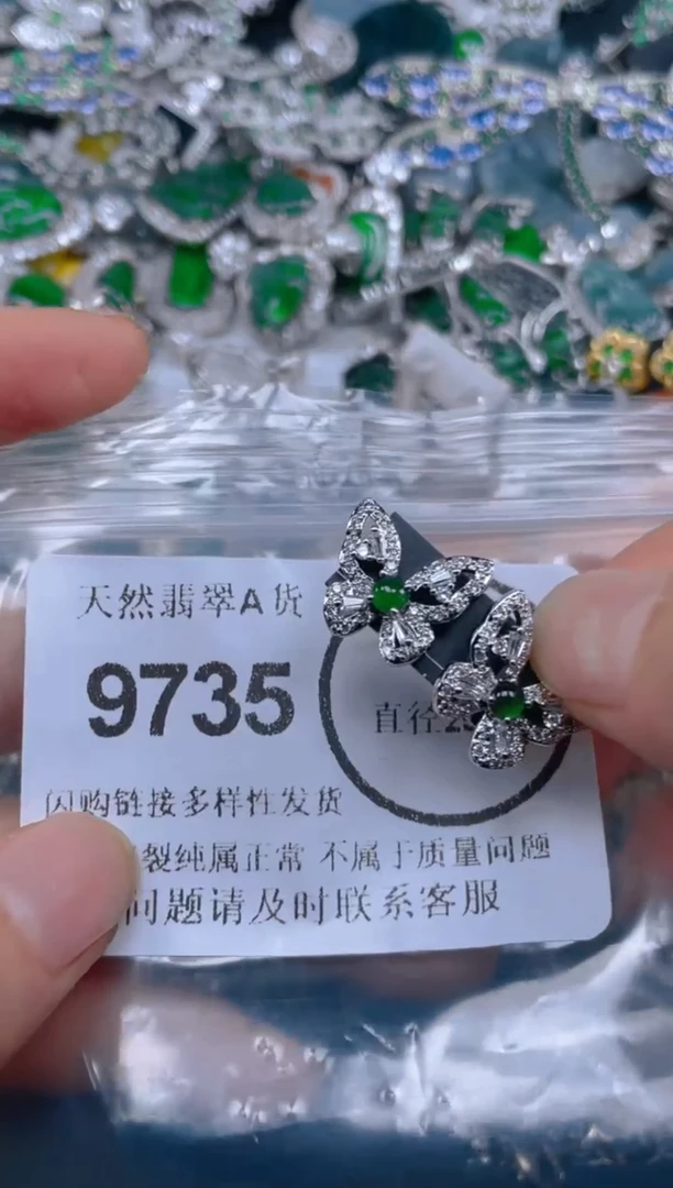 翡翠未镶嵌颈饰9735