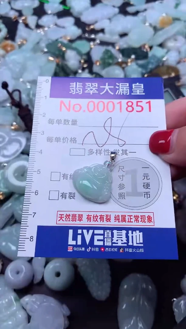 颈饰未镶嵌翡翠1851