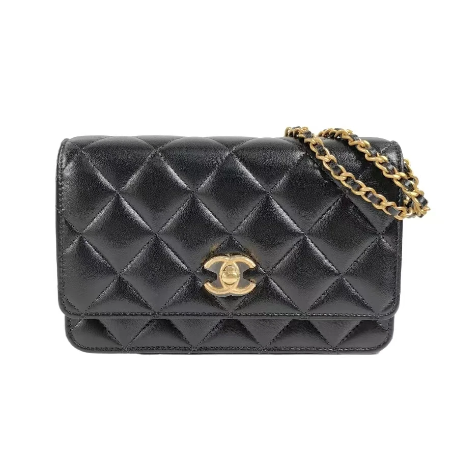 95新 Chanel/香奈儿 安洁利严选/BK0150085