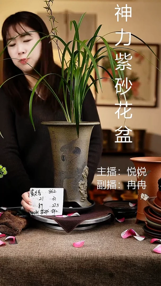 紫砂花盆花卉工艺862+z