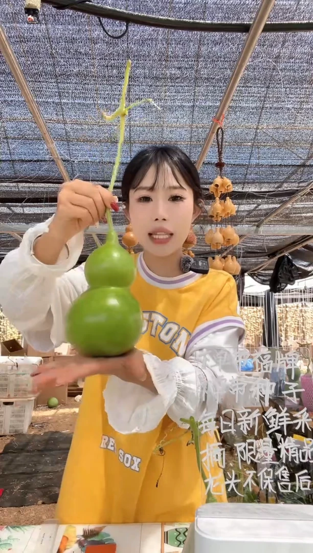 470天然葫芦摆件 一物一拍龙头不保售后