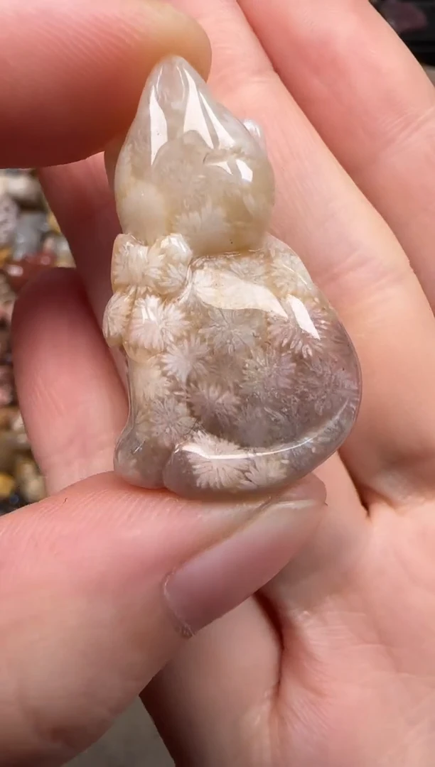 硅化珊瑚（珊瑚玉）未镶嵌颈饰354