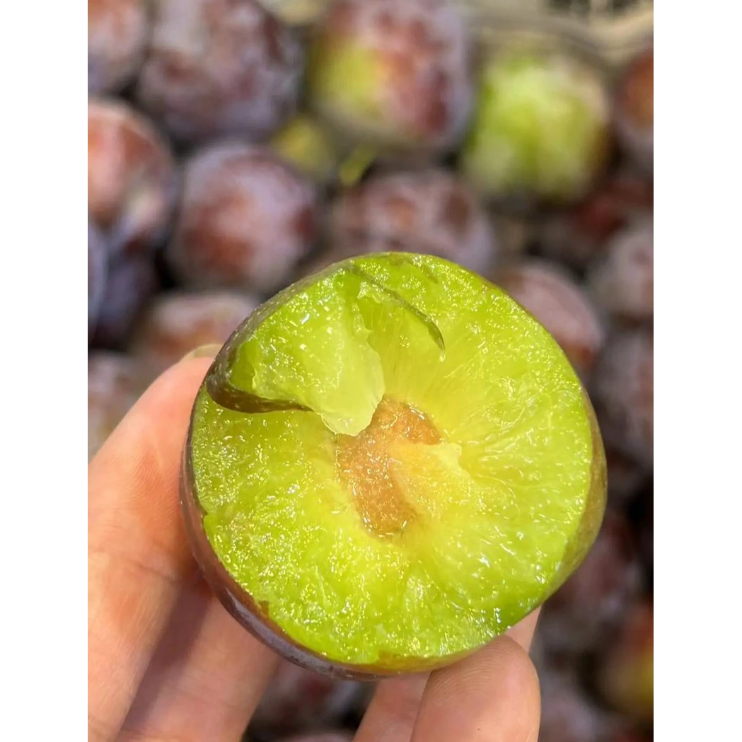 【包邮】新鲜水果德阳八佛村本地五月脆李子四川省