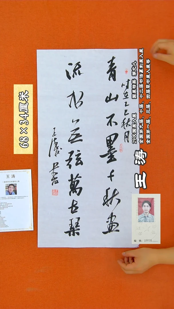 书法33a王涛书法作品