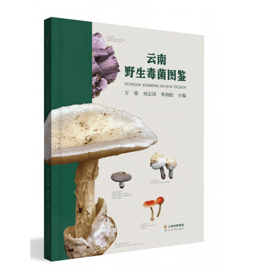 云南野生毒菌图鉴