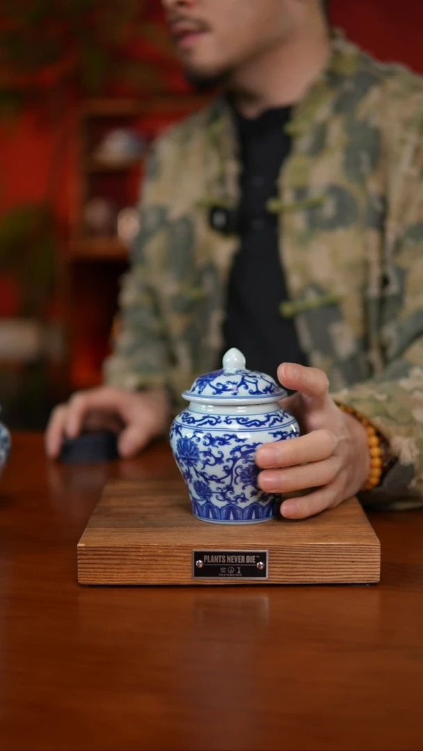 【闪购商品】瓷片直播闪购链接 以图片为准