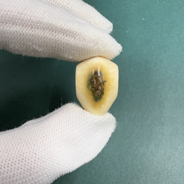 H5689天然猛犸牙鲨鱼背蓝眼三通配饰 支持鉴定 假一罚四