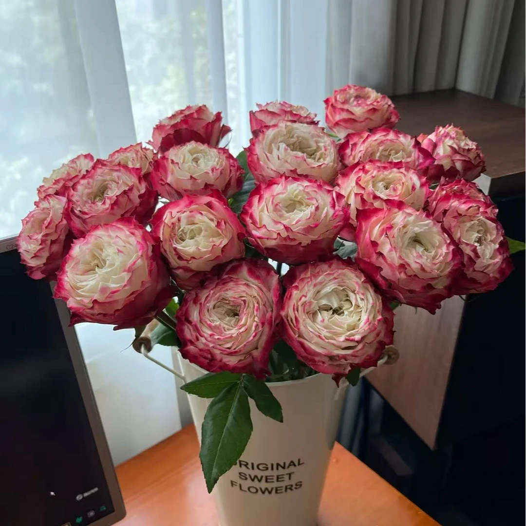 苹果杰克玫瑰   任意买2单送鲜花一束，升级冷链快递送货上门