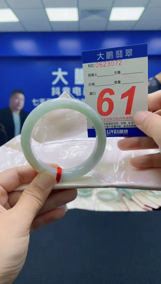 未镶嵌手镯翡翠AAAAAAAAA