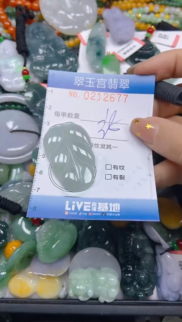 颈饰未镶嵌翡翠闪购C0212677