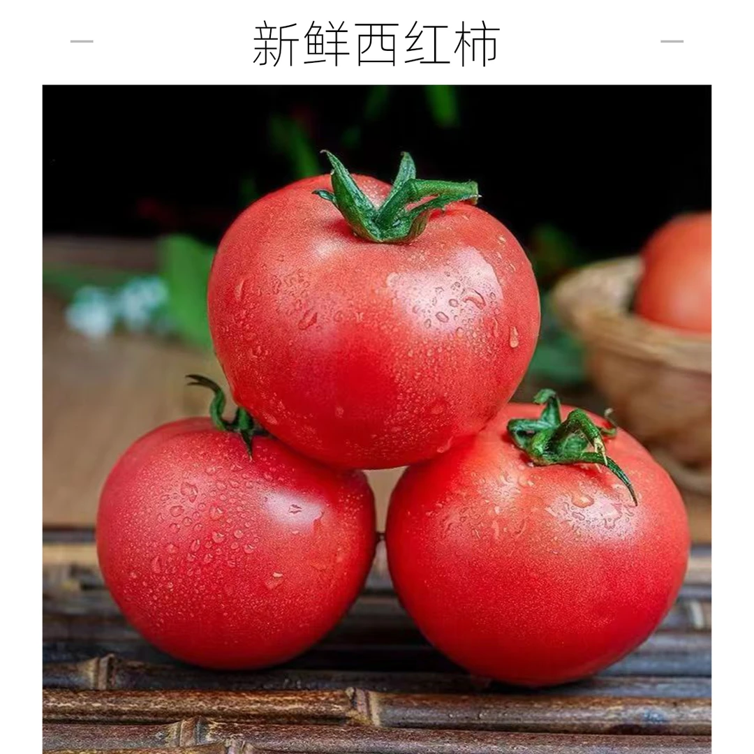 西红柿500g【好东西】