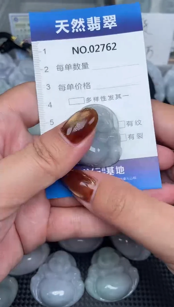 颈饰未镶嵌翡翠纯天然A货翡翠2762