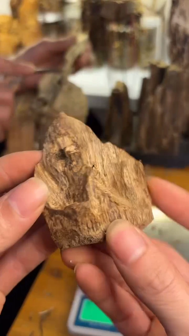 沉香沉香碎屑奇楠沉香20克