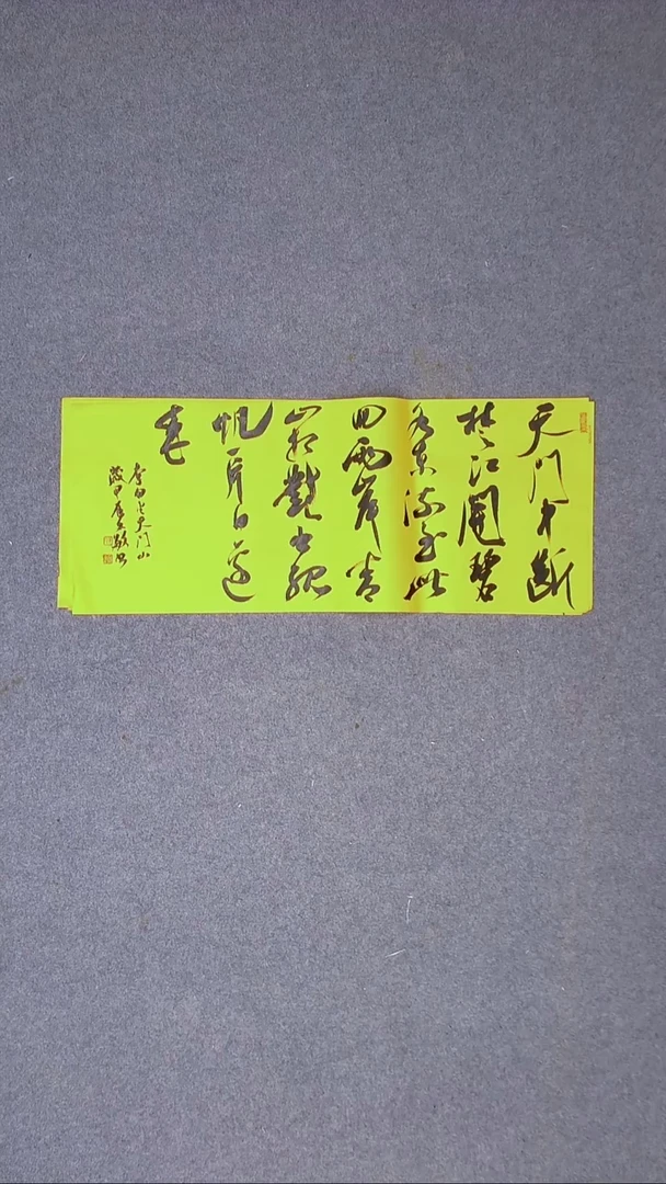 书法张文敏  江苏淮安69*30尺寸