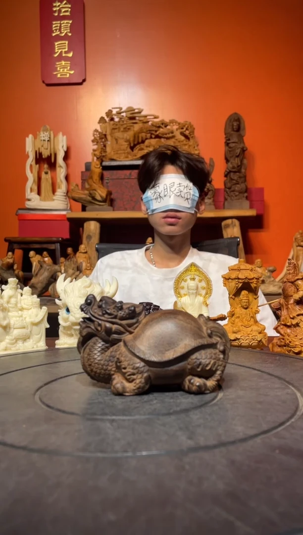 风车木（黑檀木）其他（直播推荐）   小龙龟