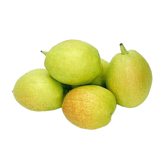 新疆库尔勒香梨7斤装