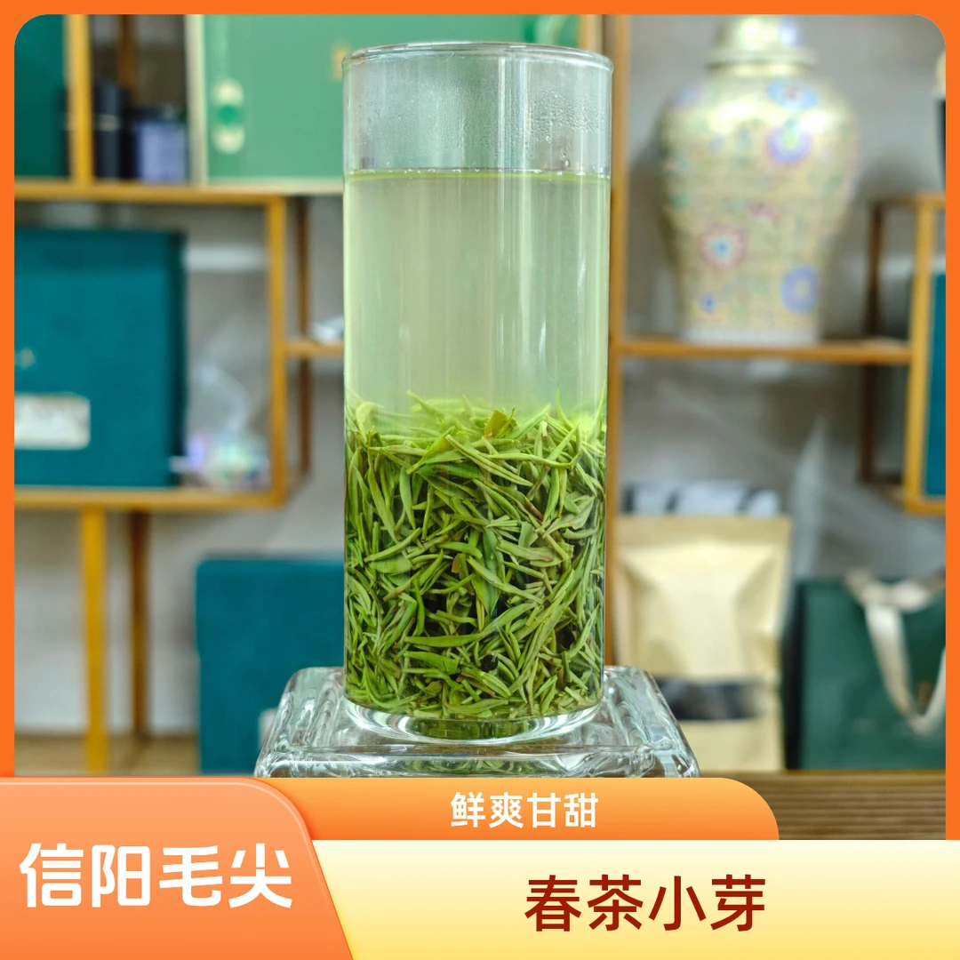 信阳毛尖春茶小芽口感鲜爽甘甜
