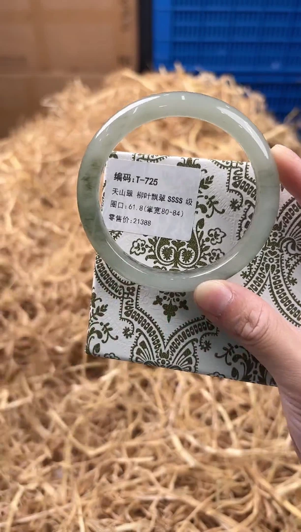 未镶嵌手镯石英质玉T-725