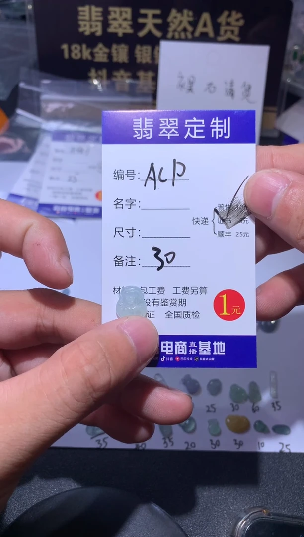 颈饰未镶嵌翡翠Ã*P1