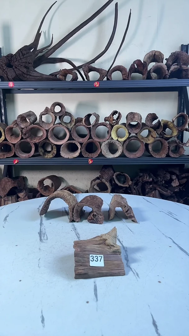 孤**落云南紫柚木造景沉木337