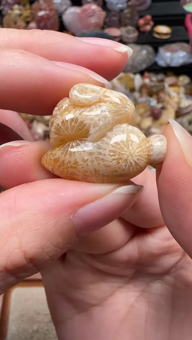 颈饰未镶嵌硅化珊瑚（珊瑚玉）681