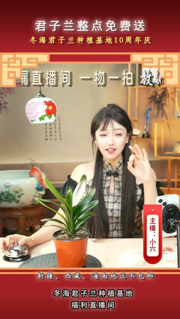 当前无花朵，栽培后可花朵白***8君子兰
