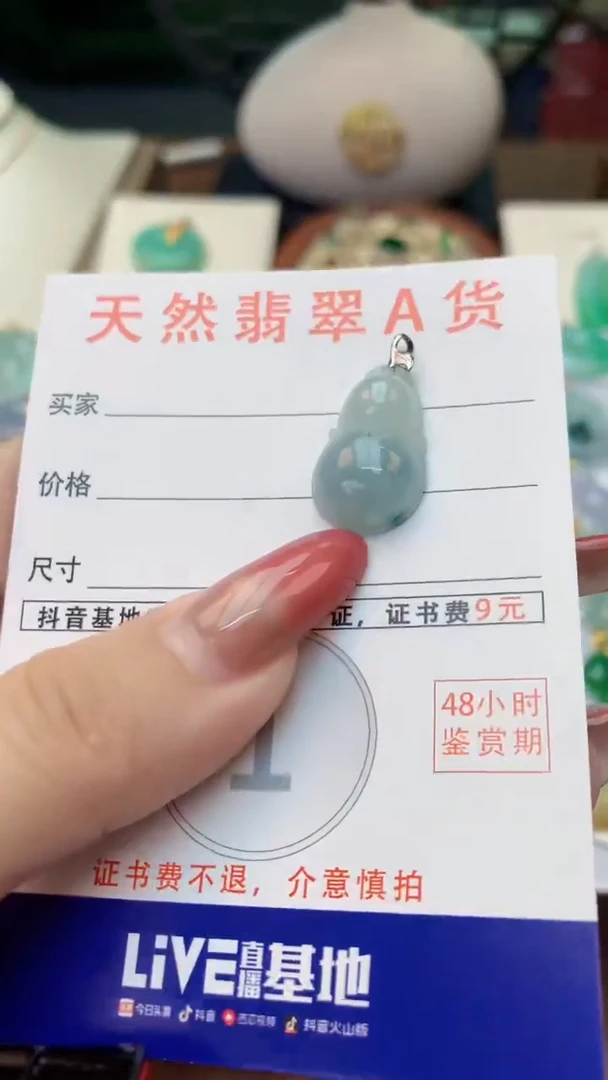 颈饰未镶嵌翡翠天然A货翡翠挂件