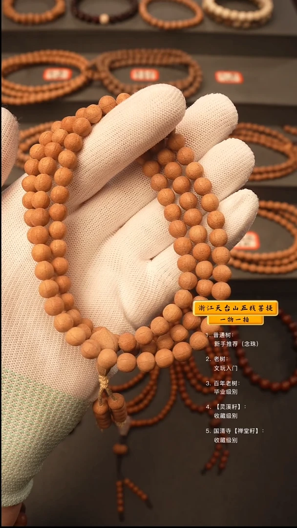 吊坠五线菩提和**尘y脖挂