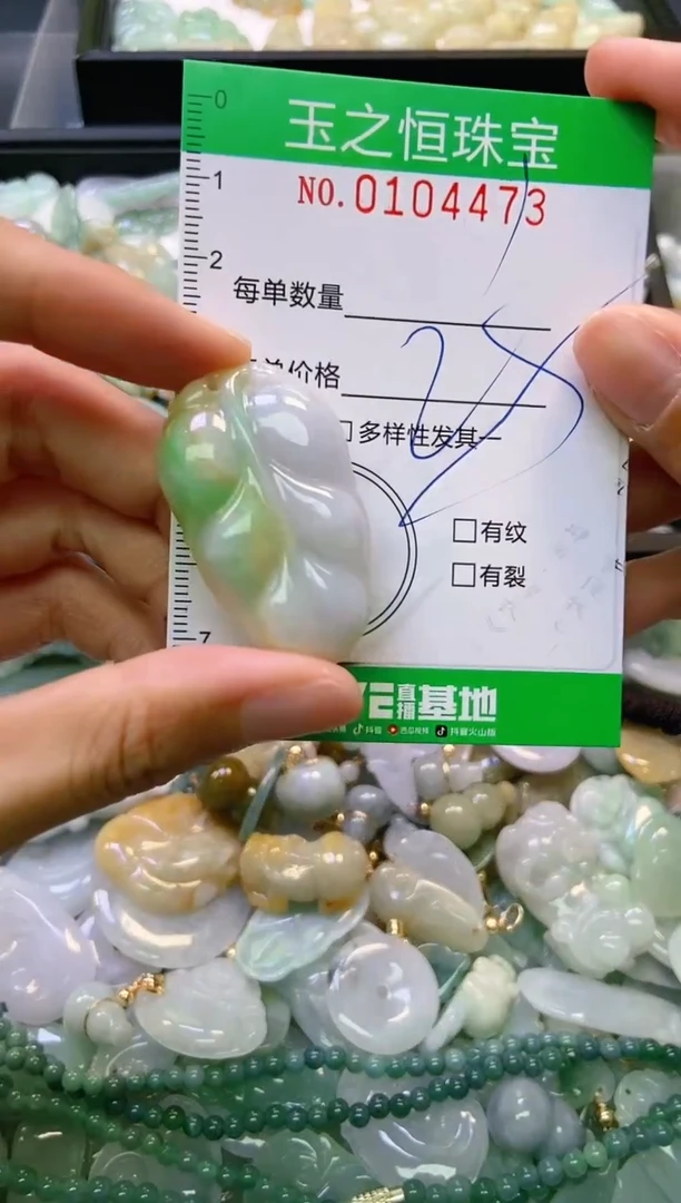 翡翠未镶嵌颈饰闪购0104473