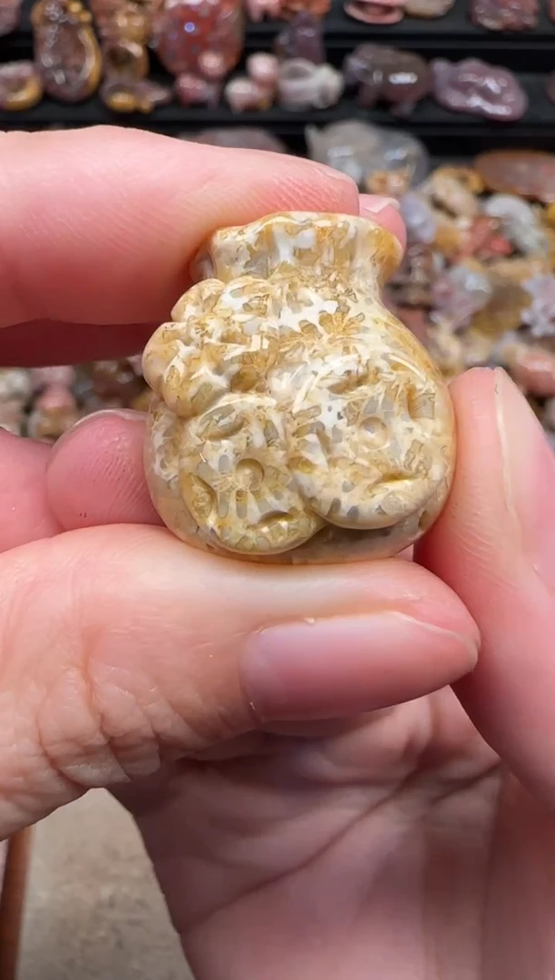 颈饰未镶嵌硅化珊瑚（珊瑚玉）757