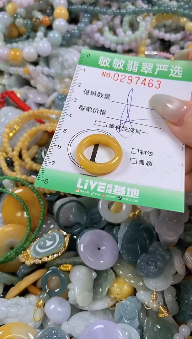 翡翠未镶嵌颈饰闪购0297463