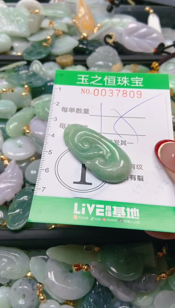 【闪购商品】翡翠颈饰未镶嵌闪购0037809
