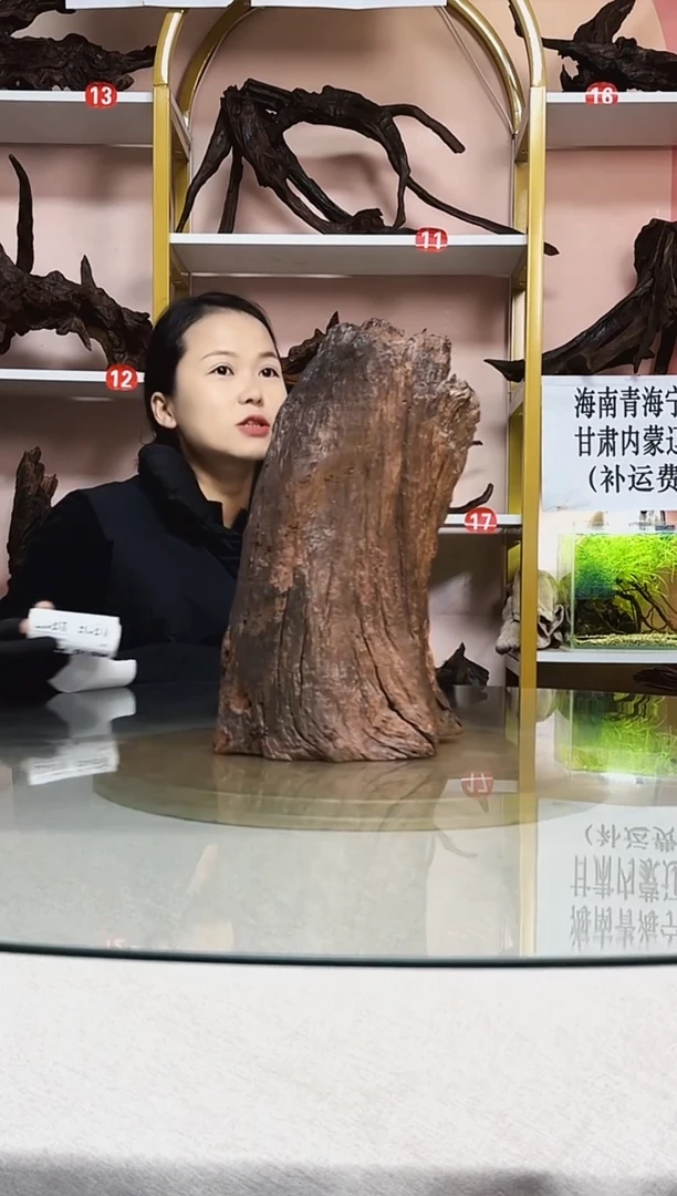 健****?鱼缸沉木A814