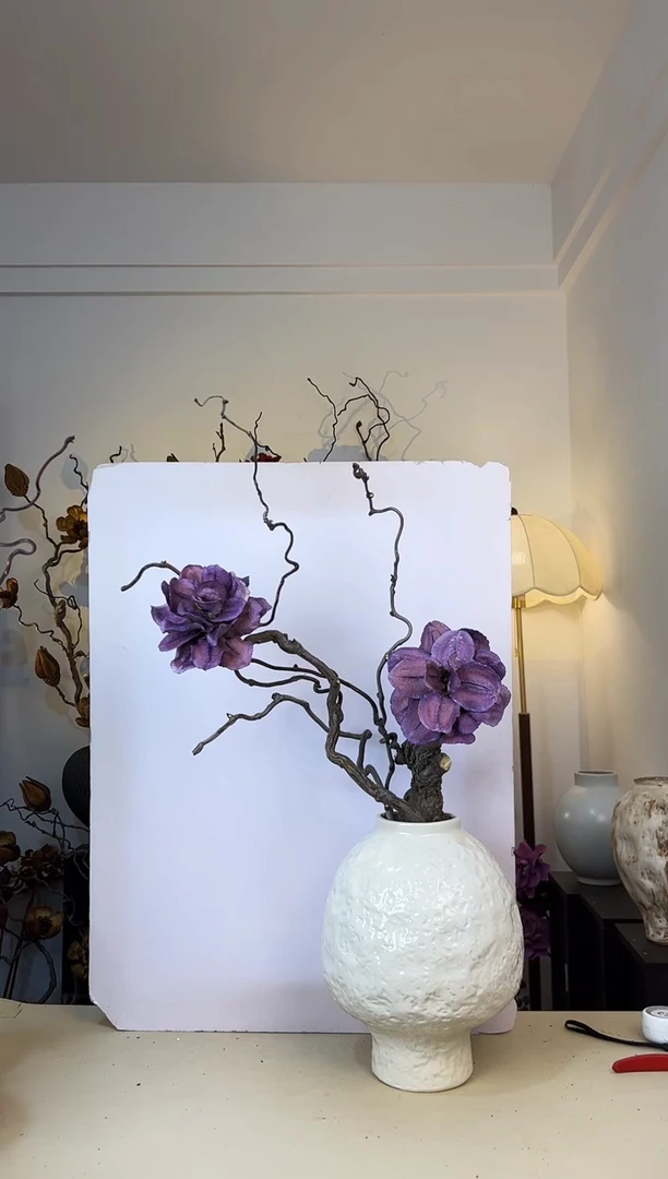 初*龙枣枝蓝花楹（特价不退不换）