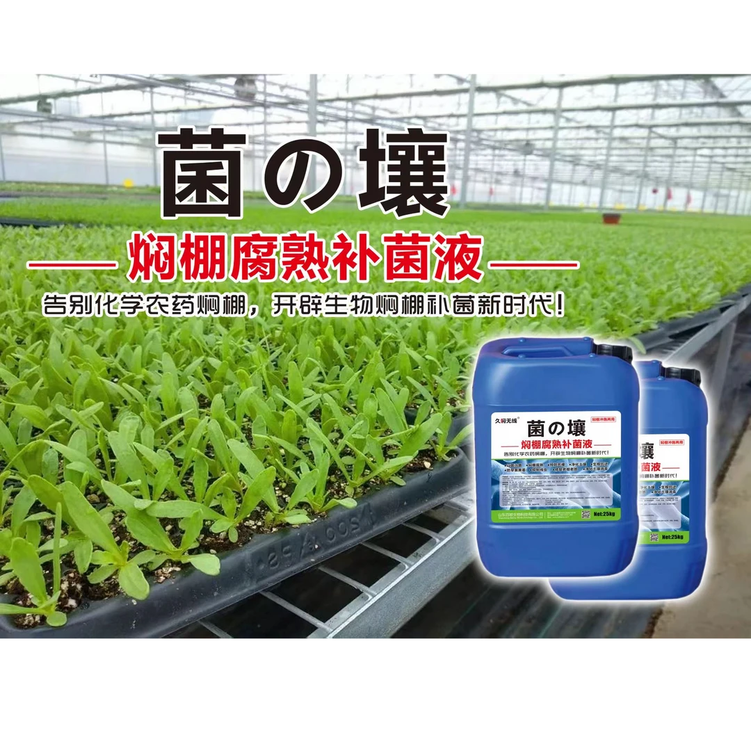 菌壤       ——焖棚腐熟补菌液
