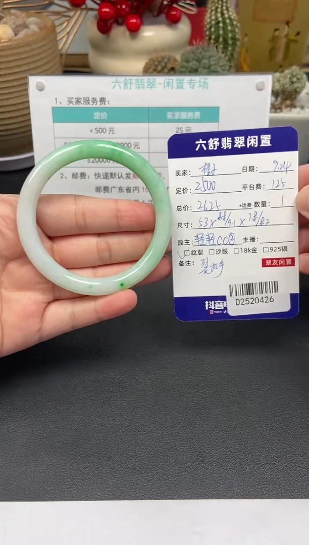 未镶嵌手镯翡翠橙***黎D2520426