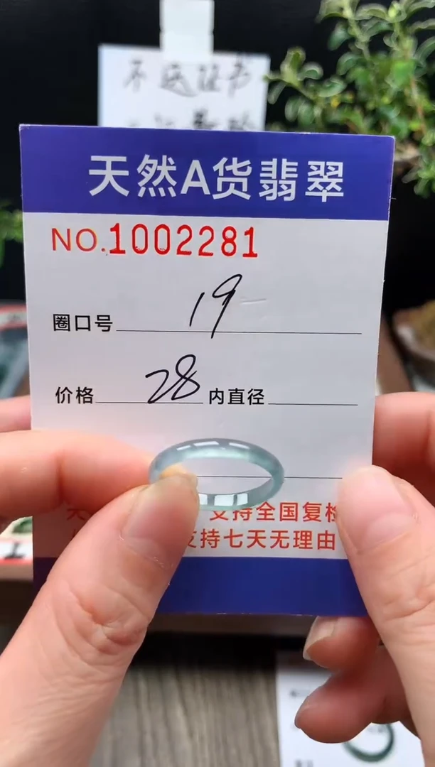 未镶嵌戒指翡翠19#