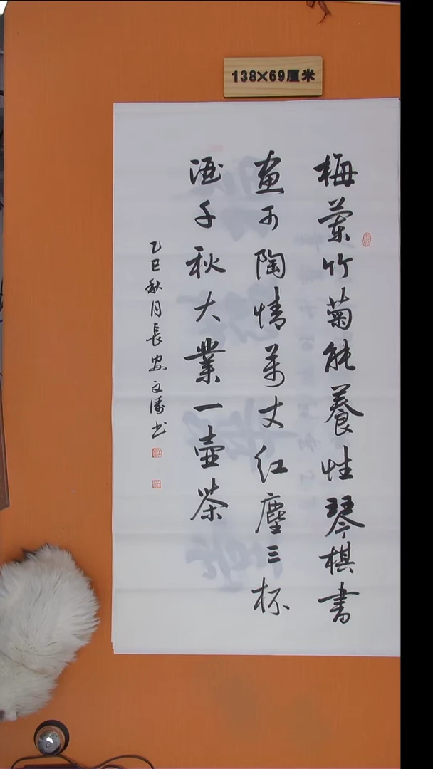书法辛老师纯手写精美作品138*69