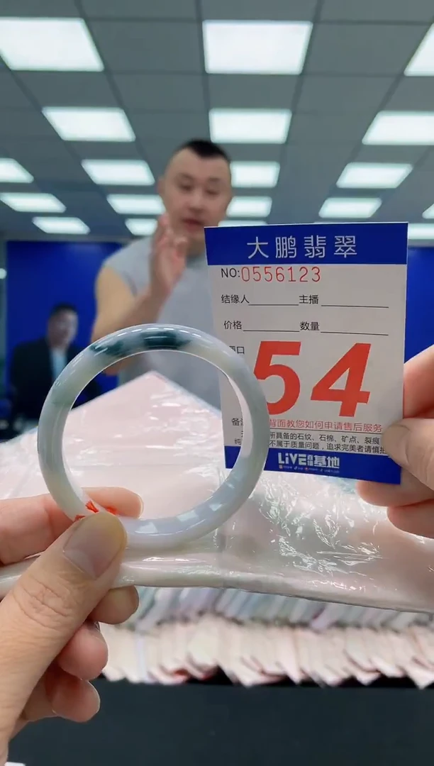 未镶嵌手镯翡翠AAAAAAAAA