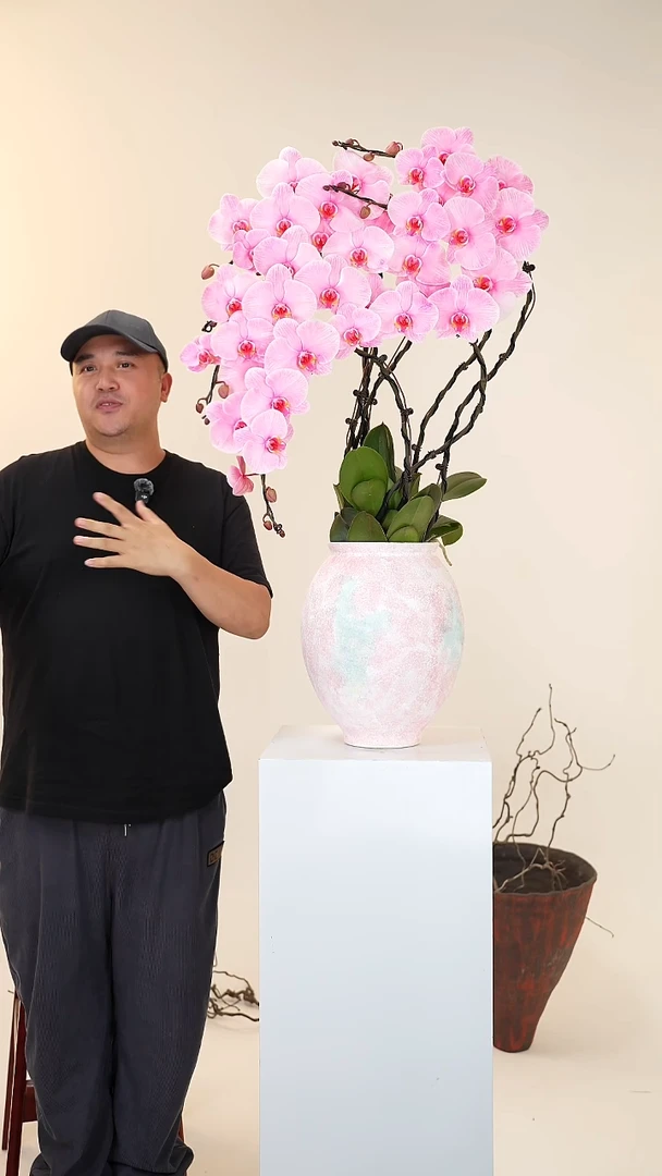 全部花朵025【一物一拍】艺术盆景