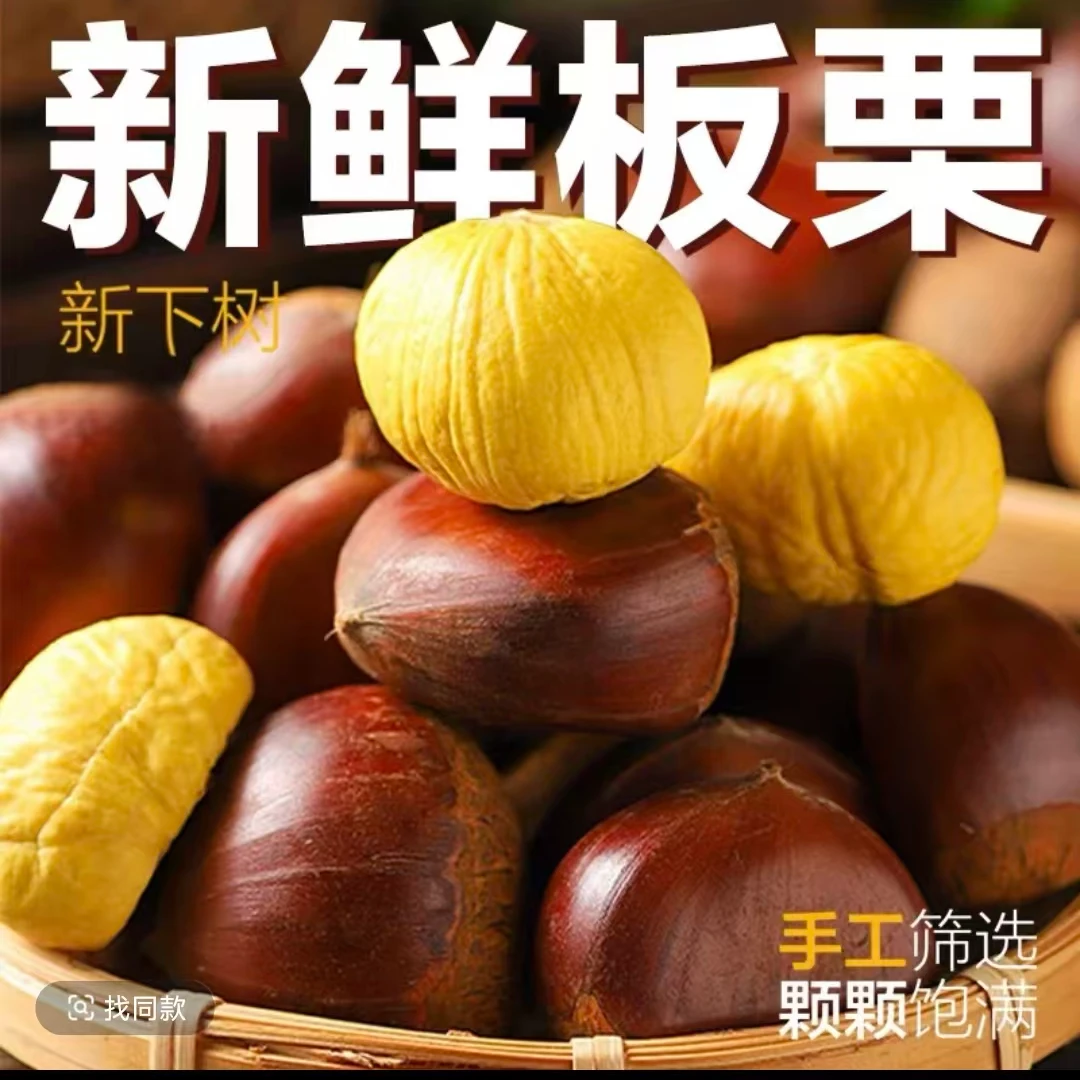 h【买3斤送2斤】新鲜高山板栗清脆鲜香生栗子净重5斤送剥皮器