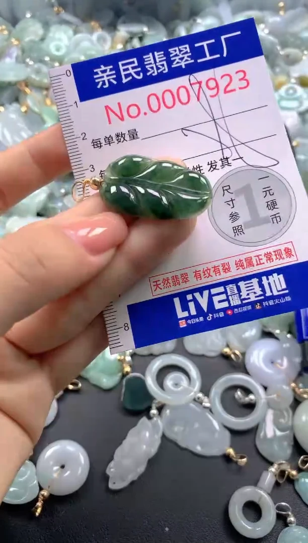 颈饰未镶嵌翡翠7923