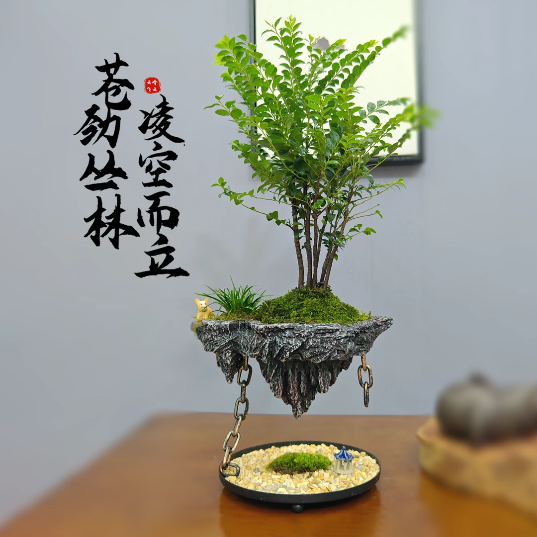 绿植摆件天空之城绿植小叶紫檀铁艺摆件