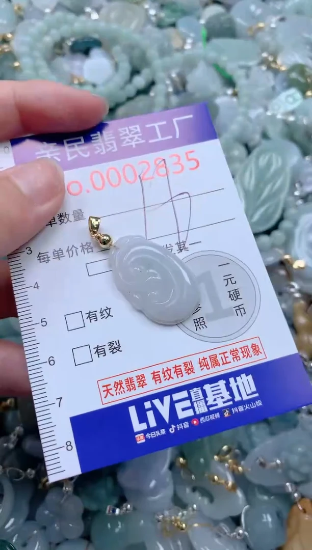 翡翠未镶嵌吊坠(不含链)2835